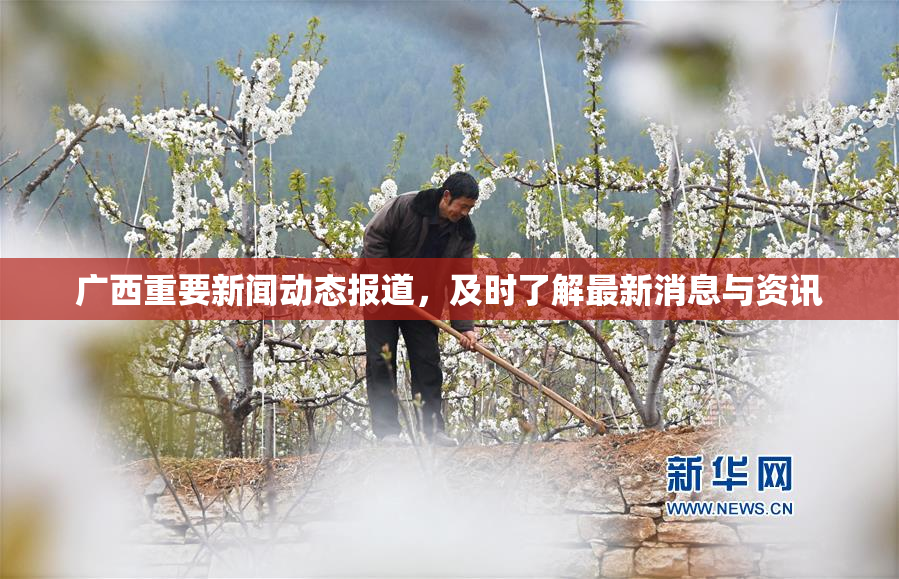 广西重要新闻动态报道，及时了解最新消息与资讯