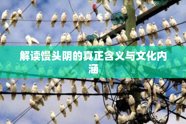 解读馒头阴的真正含义与文化内涵