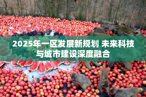 2025年一区发展新规划 未来科技与城市建设深度融合