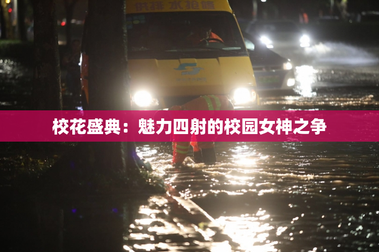 校花盛典：魅力四射的校园女神之争