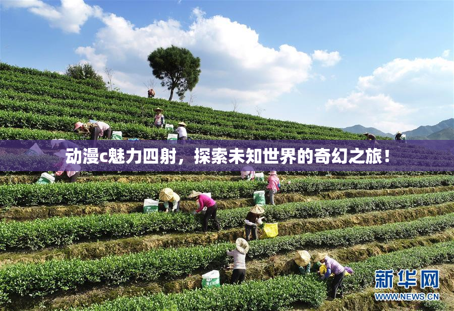 动漫c魅力四射，探索未知世界的奇幻之旅！