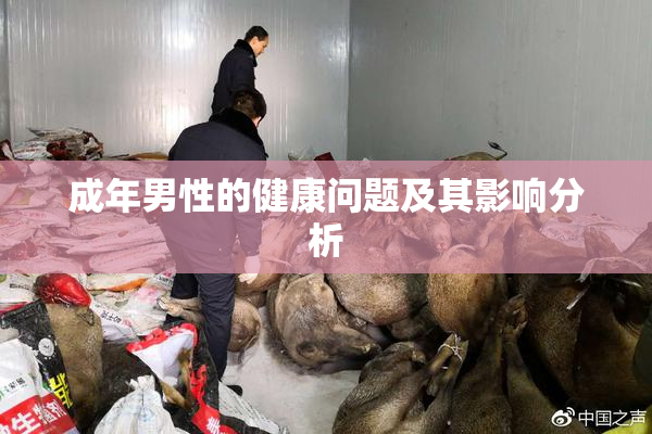 成年男性的健康问题及其影响分析