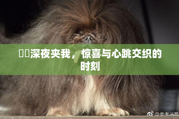 妺妺深夜夹我，惊喜与心跳交织的时刻