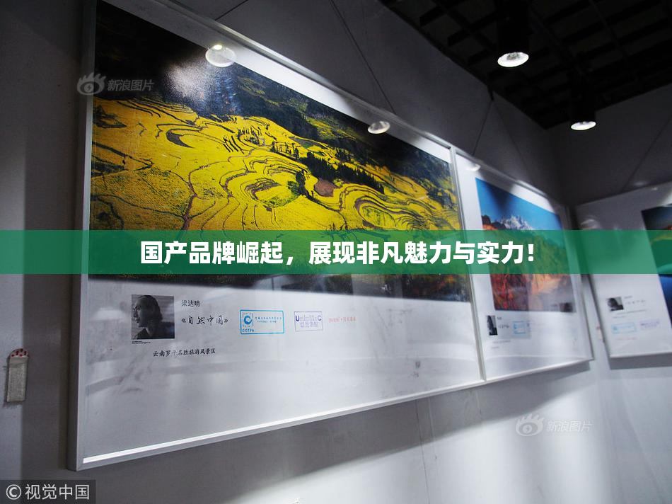 国产品牌崛起，展现非凡魅力与实力！