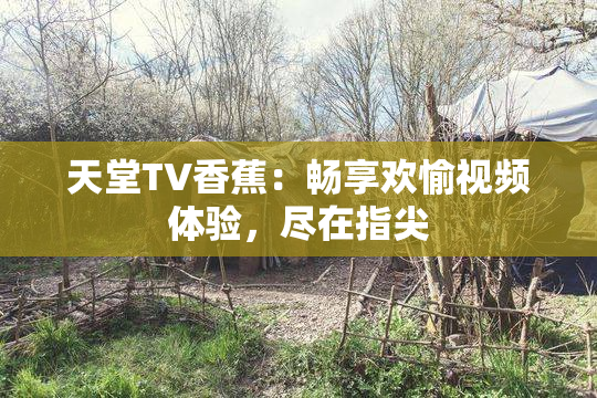 天堂TV香蕉：畅享欢愉视频体验，尽在指尖