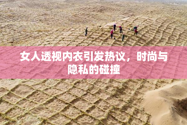 女人透视内衣引发热议，时尚与隐私的碰撞