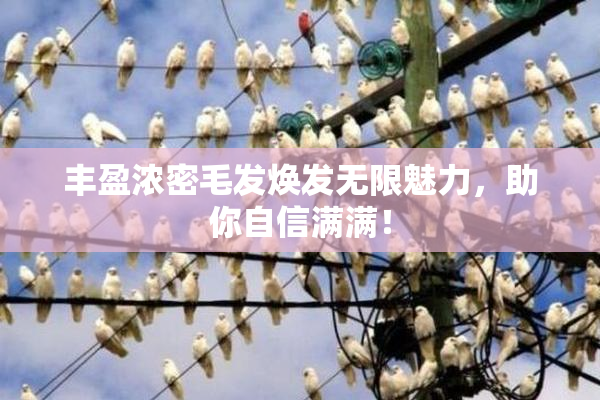 丰盈浓密毛发焕发无限魅力，助你自信满满！