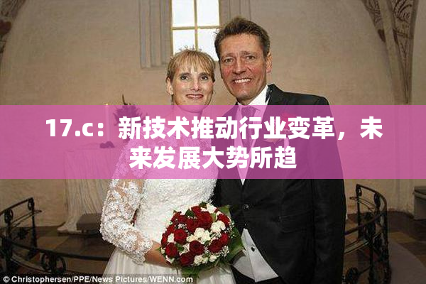 17.c：新技术推动行业变革，未来发展大势所趋