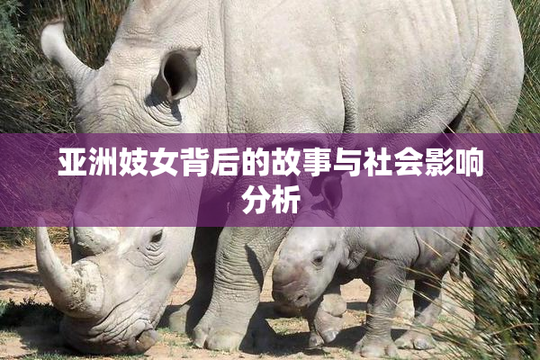 亚洲妓女背后的故事与社会影响分析