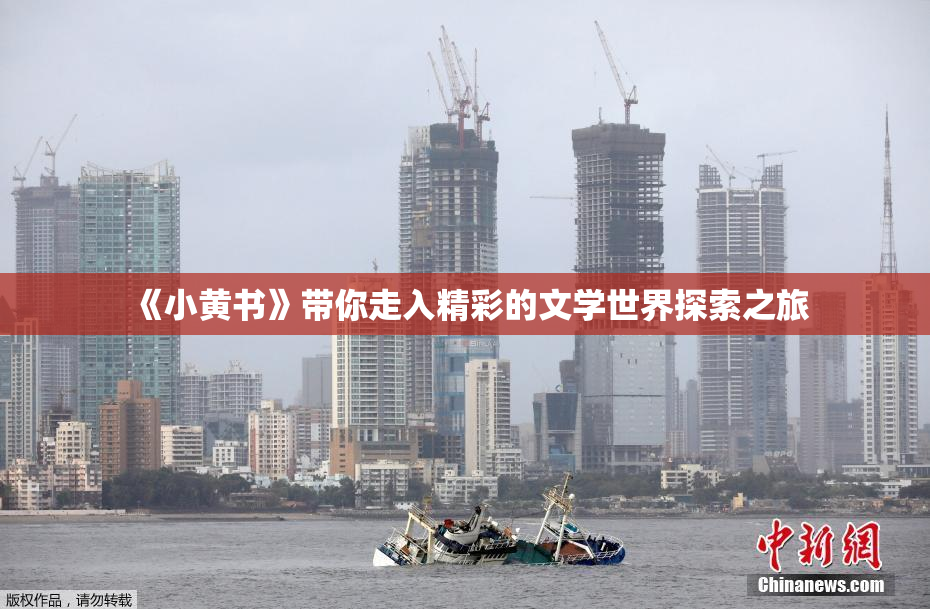《小黄书》带你走入精彩的文学世界探索之旅