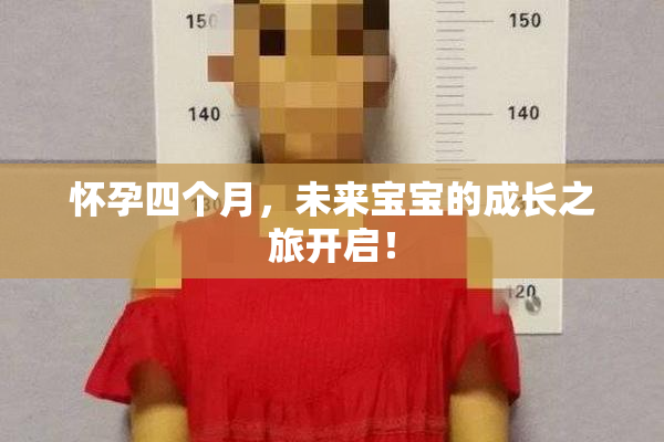 怀孕四个月，未来宝宝的成长之旅开启！
