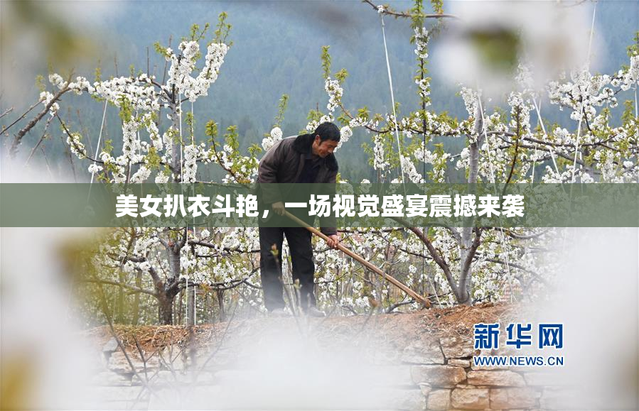 美女扒衣斗艳，一场视觉盛宴震撼来袭
