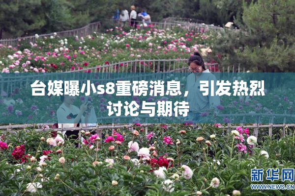 台媒曝小s8重磅消息，引发热烈讨论与期待