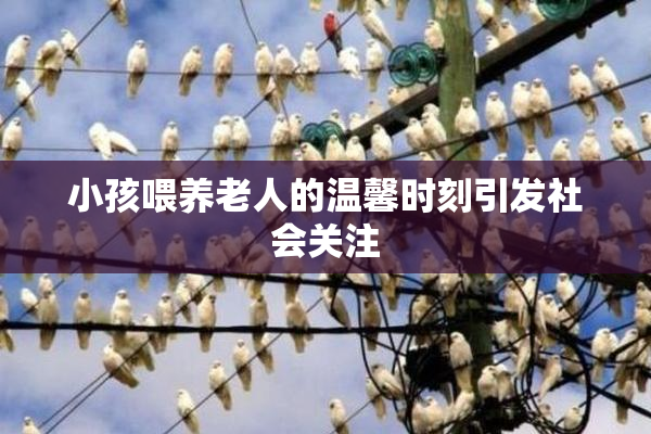 小孩喂养老人的温馨时刻引发社会关注