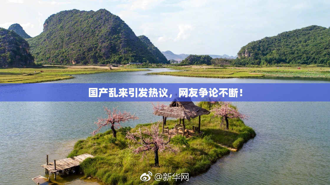 国产乱来引发热议，网友争论不断！