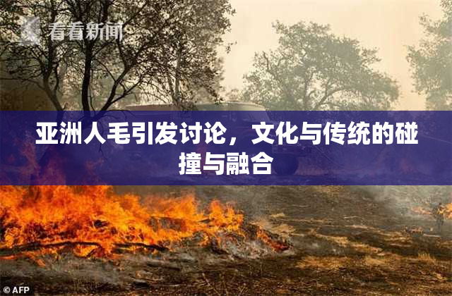 亚洲人毛引发讨论，文化与传统的碰撞与融合