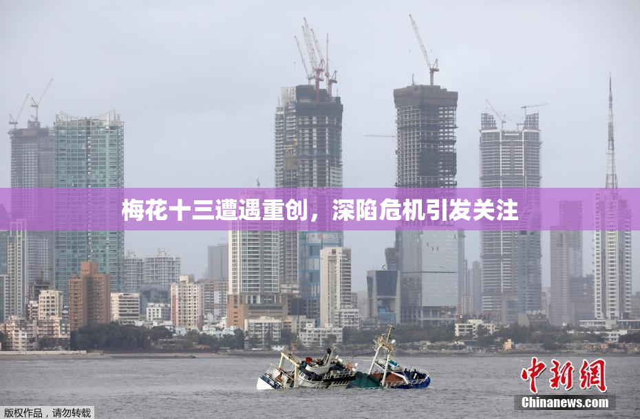梅花十三遭遇重创，深陷危机引发关注