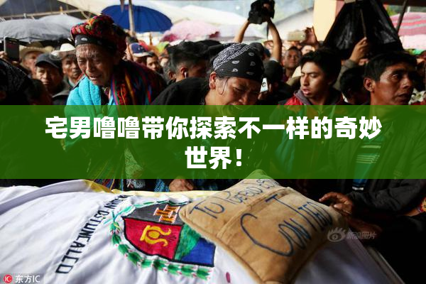 宅男噜噜带你探索不一样的奇妙世界！