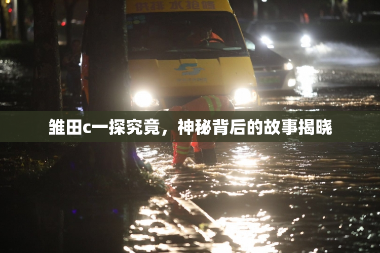 雏田c一探究竟，神秘背后的故事揭晓