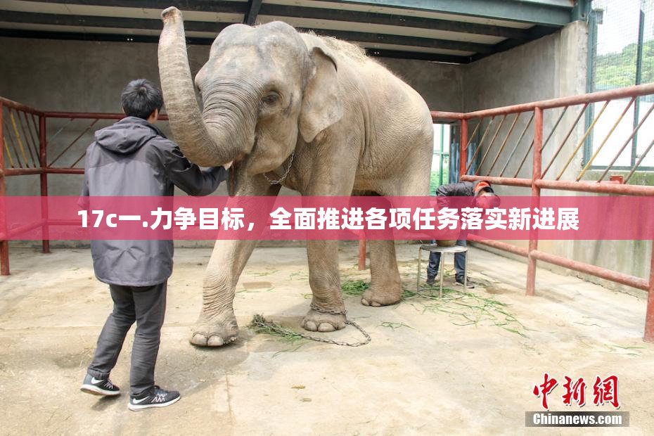 17c一.力争目标，全面推进各项任务落实新进展