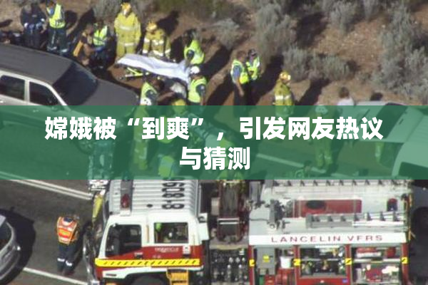 嫦娥被“到爽”，引发网友热议与猜测