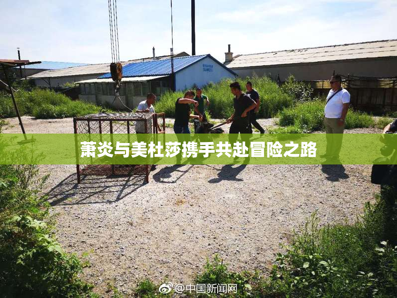 萧炎与美杜莎携手共赴冒险之路
