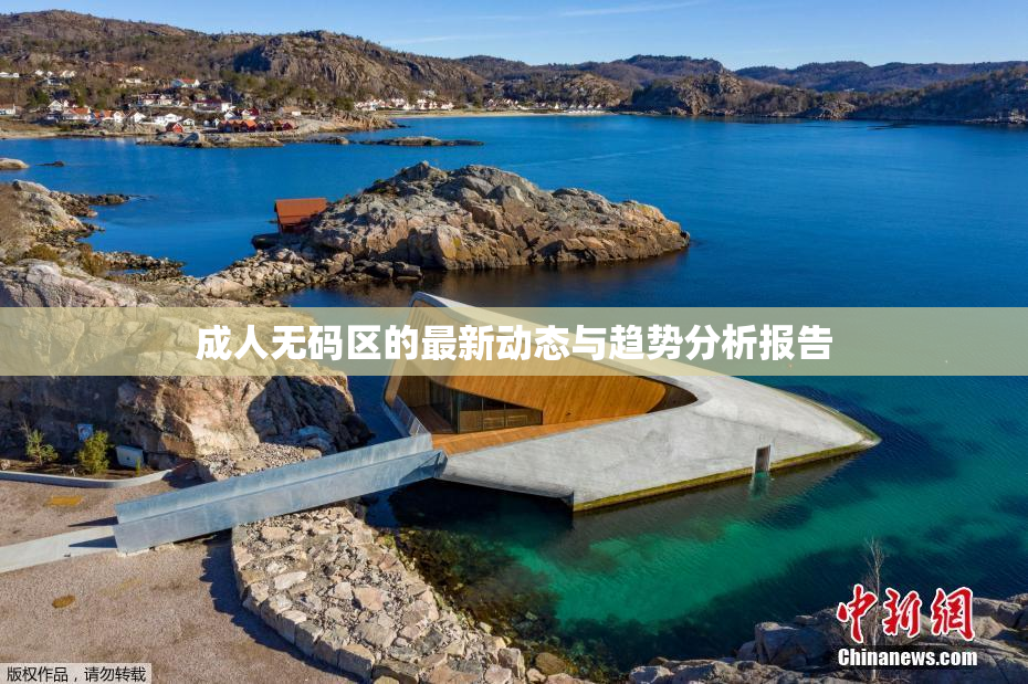 成人无码区的最新动态与趋势分析报告