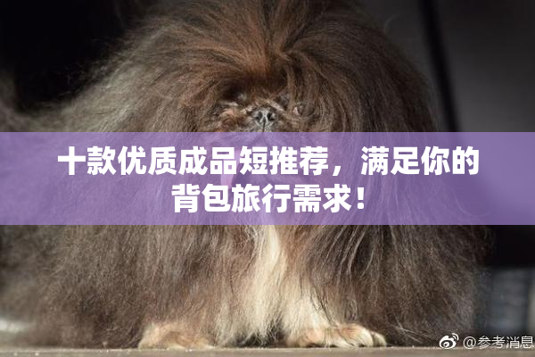 十款优质成品短推荐，满足你的背包旅行需求！