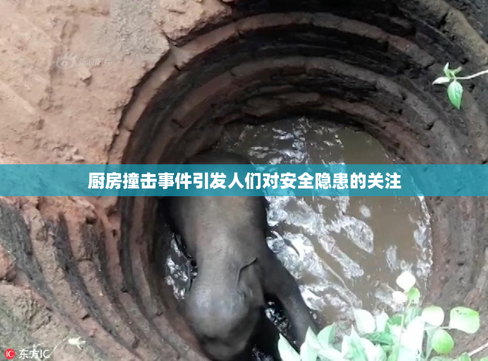 厨房撞击事件引发人们对安全隐患的关注