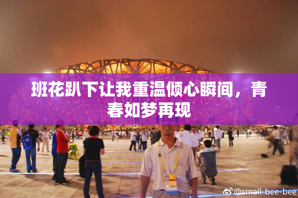 班花趴下让我重温倾心瞬间，青春如梦再现
