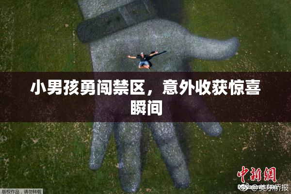 小男孩勇闯禁区，意外收获惊喜瞬间