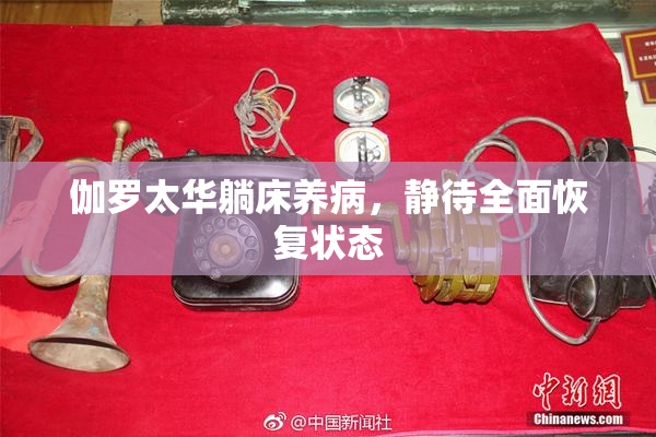 伽罗太华躺床养病，静待全面恢复状态