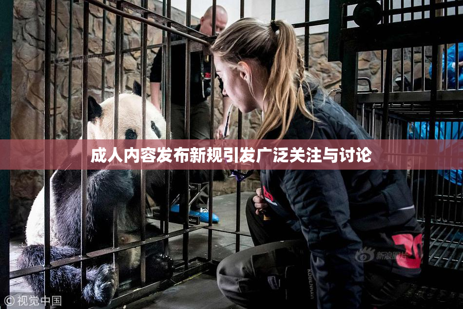 成人内容发布新规引发广泛关注与讨论