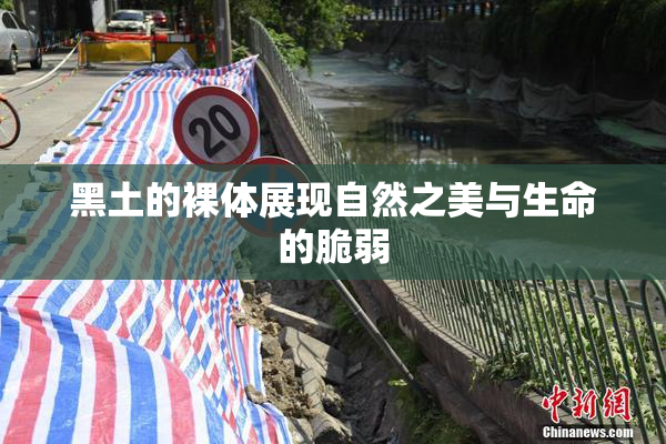 黑土的裸体展现自然之美与生命的脆弱