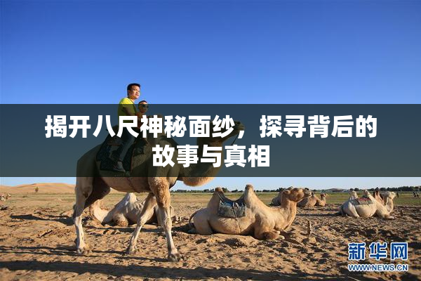 揭开八尺神秘面纱，探寻背后的故事与真相