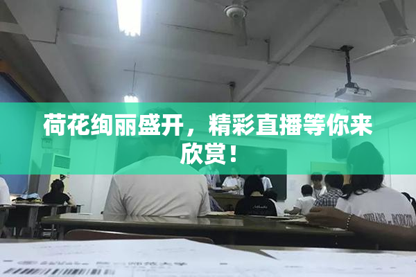 荷花绚丽盛开，精彩直播等你来欣赏！
