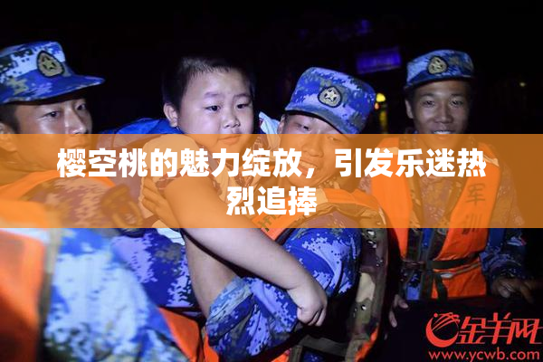樱空桃的魅力绽放，引发乐迷热烈追捧