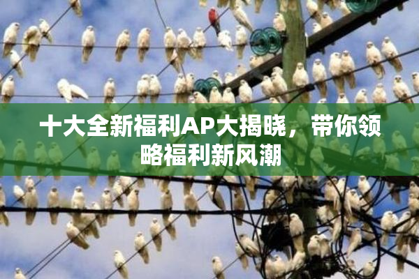 十大全新福利AP大揭晓，带你领略福利新风潮
