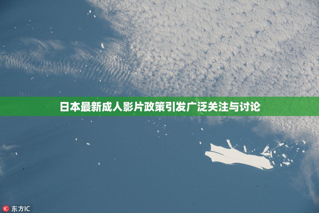 日本最新成人影片政策引发广泛关注与讨论