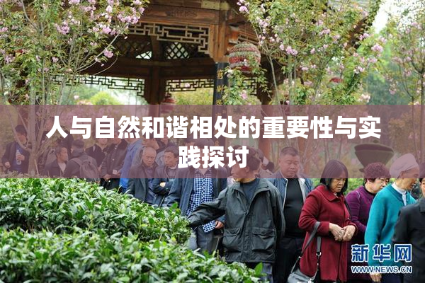 人与自然和谐相处的重要性与实践探讨