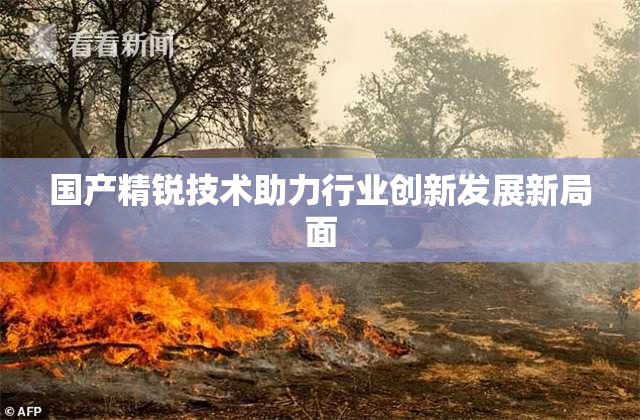 国产精锐技术助力行业创新发展新局面