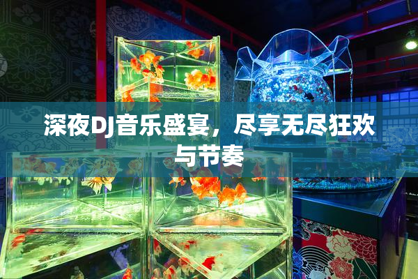 深夜DJ音乐盛宴，尽享无尽狂欢与节奏