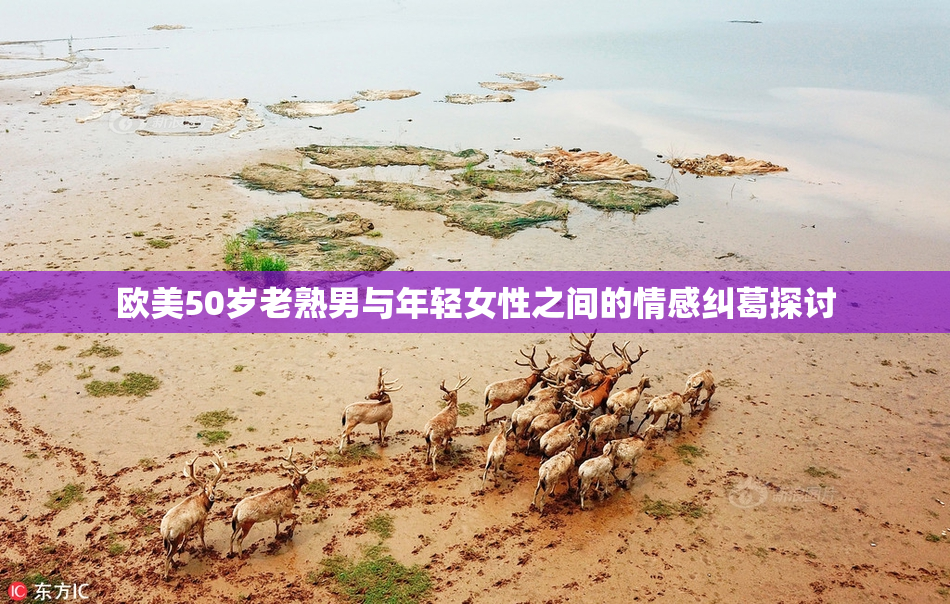 欧美50岁老熟男与年轻女性之间的情感纠葛探讨