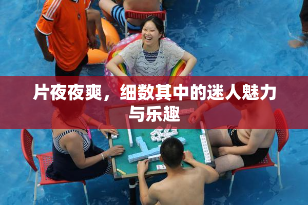 片夜夜爽，细数其中的迷人魅力与乐趣