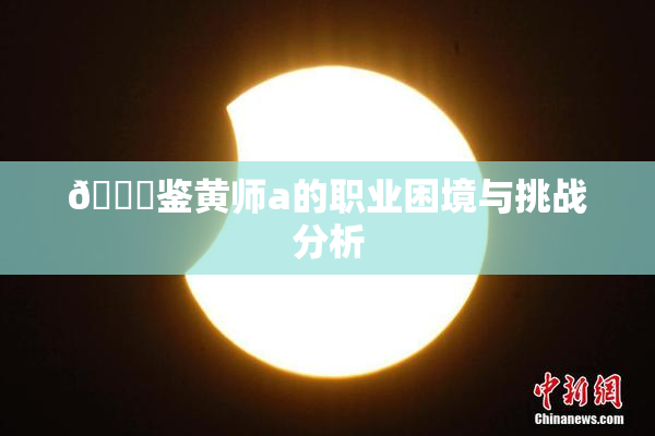 🔞鉴黄师a的职业困境与挑战分析