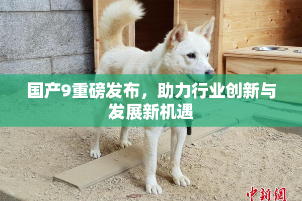 国产9重磅发布，助力行业创新与发展新机遇