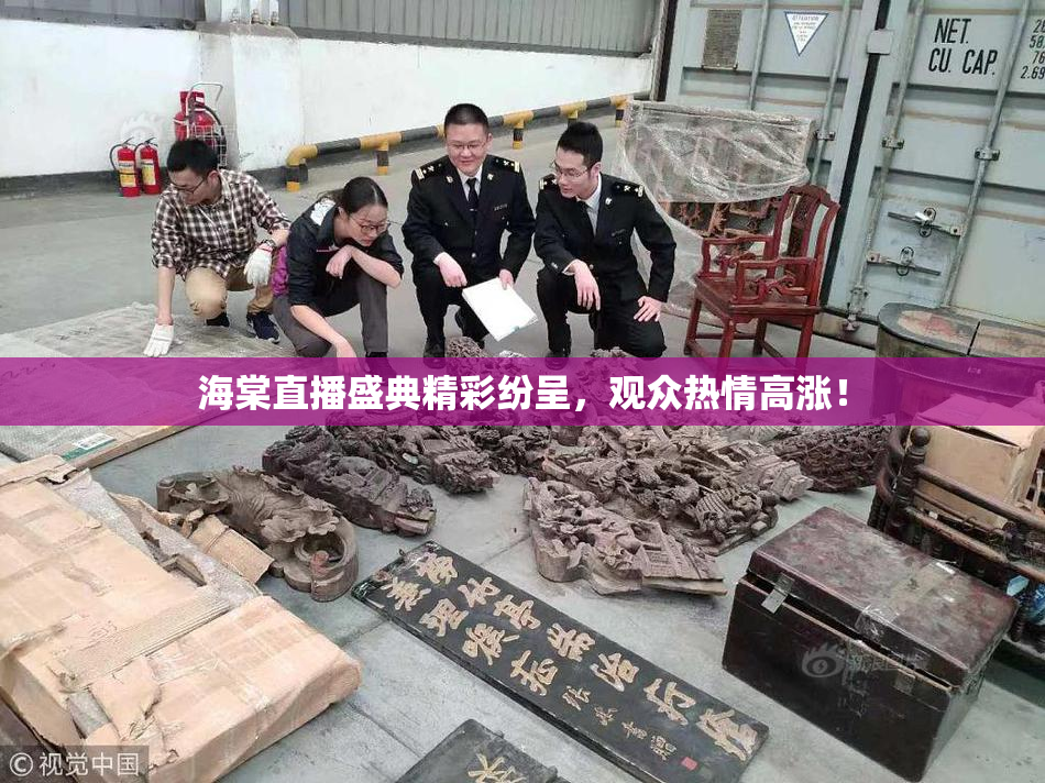 海棠直播盛典精彩纷呈，观众热情高涨！