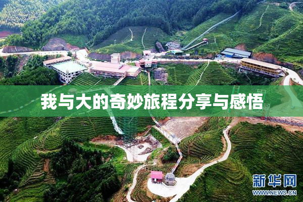 我与大的奇妙旅程分享与感悟