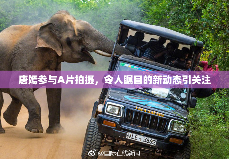 唐嫣参与A片拍摄，令人瞩目的新动态引关注