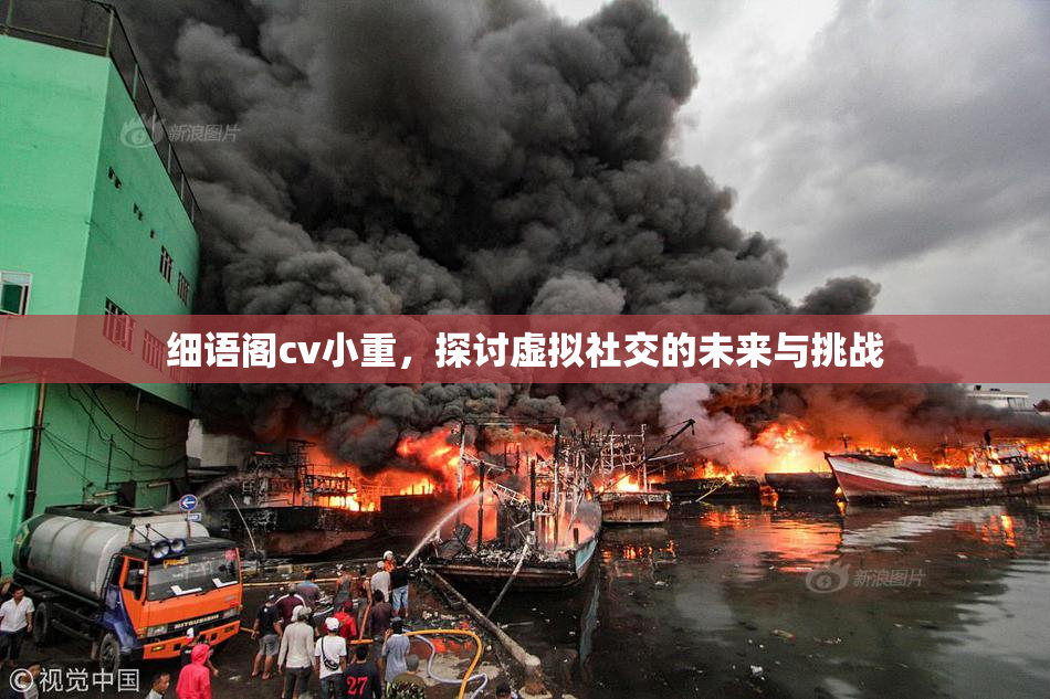 细语阁cv小重，探讨虚拟社交的未来与挑战